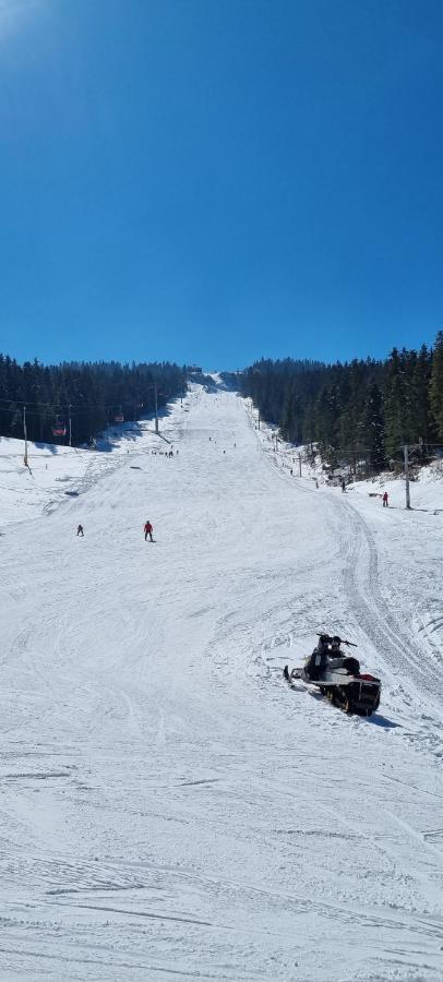 Apartman Winter Pale Zewnętrze zdjęcie